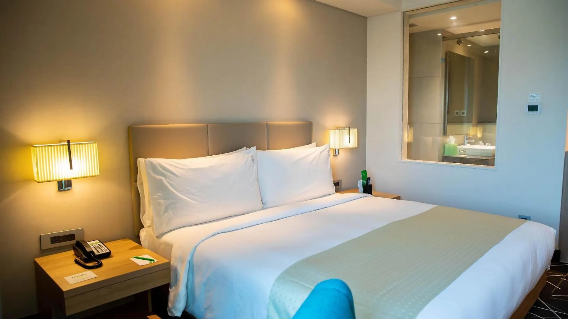 Hotel Jupiter At Delhi Airport New Delhi Homestay